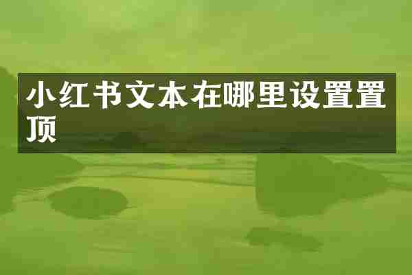 小红书文本在哪里设置置顶