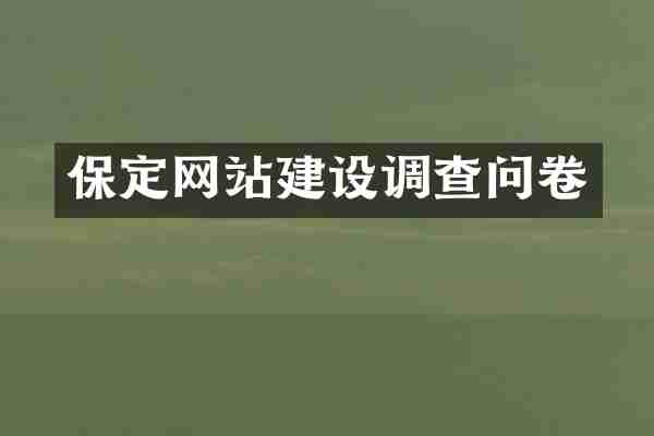 保定网站建设调查问卷