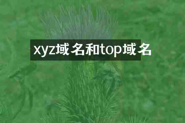 xyz域名和top域名