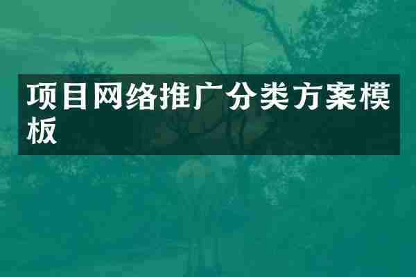 项目网络推广分类方案模板