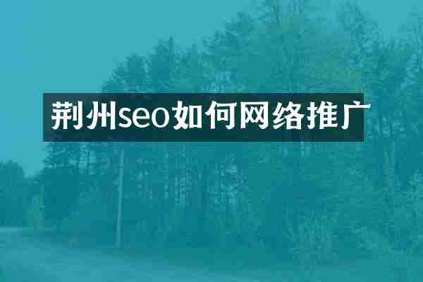 荆州seo如何网络推广