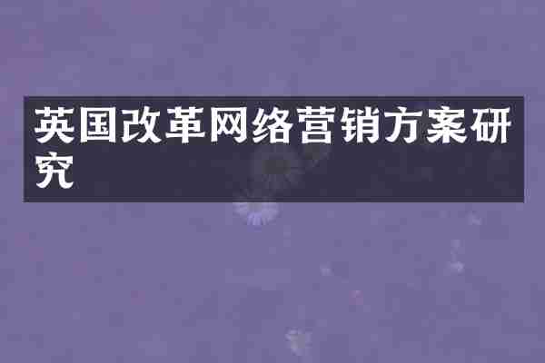 英国改革网络营销方案研究