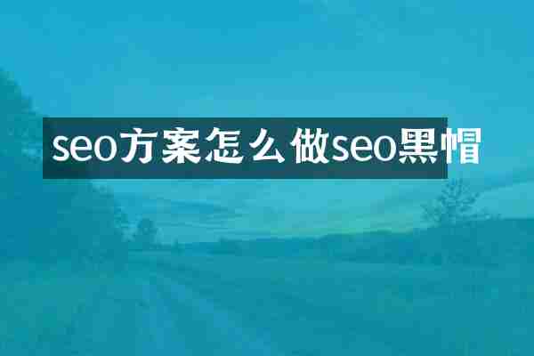 seo方案怎么做seo黑帽