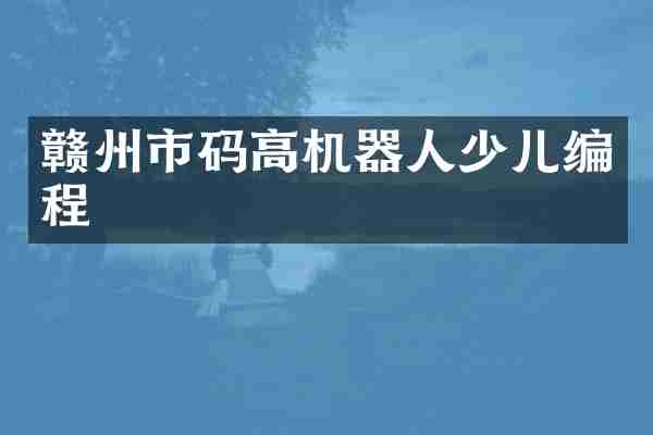 赣州市码高机器人少儿编程