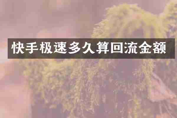 快手极速多久算回流金额