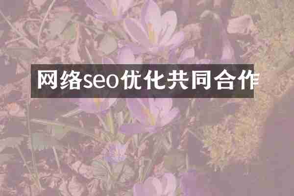 网络seo优化共同合作