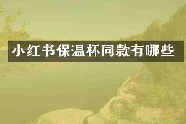 小红书保温杯同款有哪些