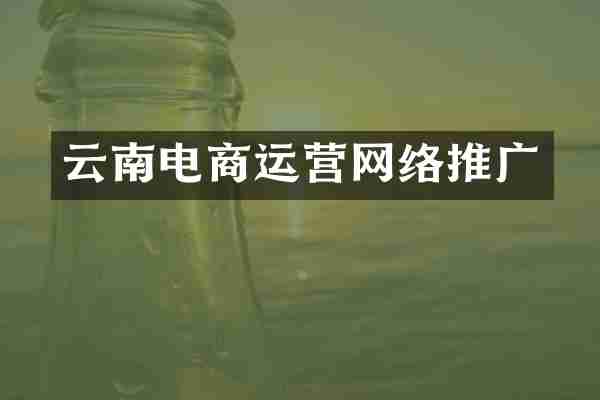 云南电商运营网络推广