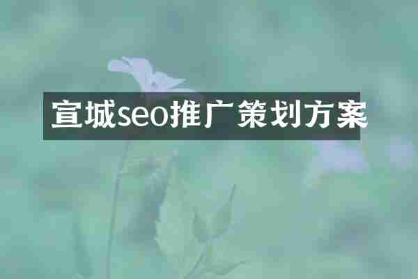 宣城seo推广策划方案