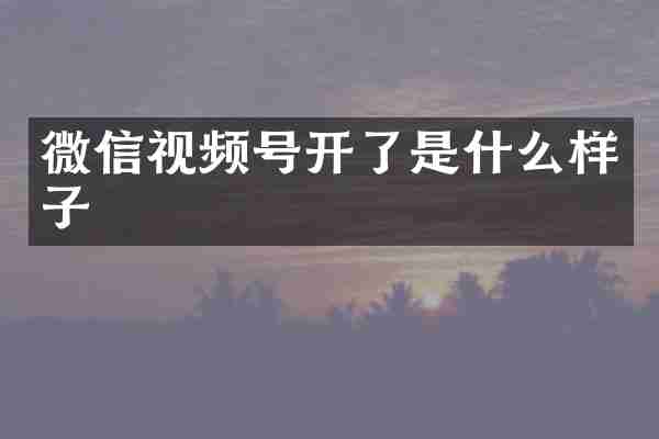 微信视频号开了是什么样子