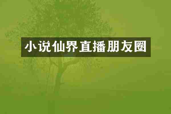 小说仙界直播朋友圈