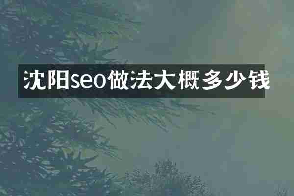 沈阳seo做法大概多少钱