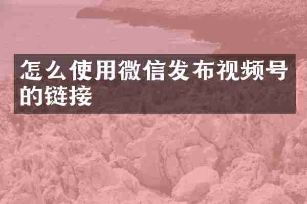 怎么使用微信发布视频号的链接
