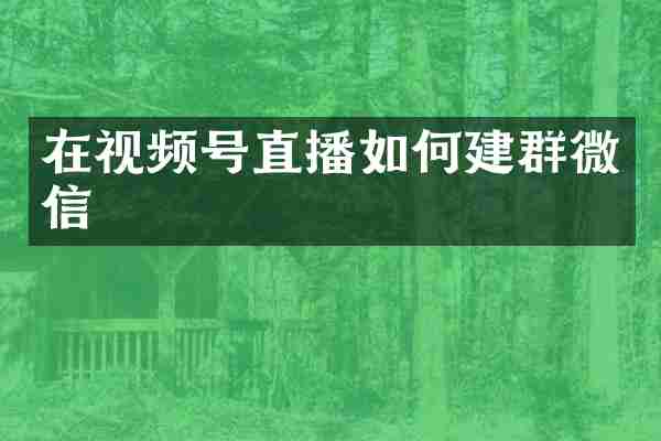 在视频号直播如何建群微信