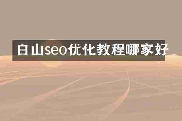 白山seo优化教程哪家好
