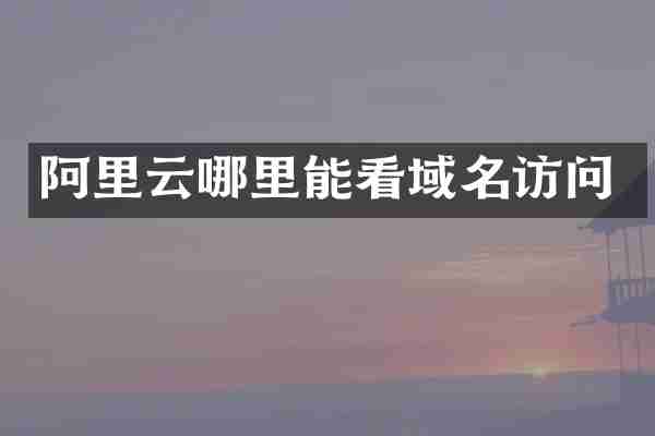 阿里云哪里能看域名访问