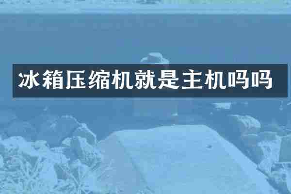 冰箱压缩机就是主机吗吗