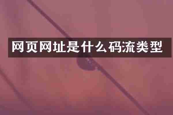 网页网址是什么码流类型