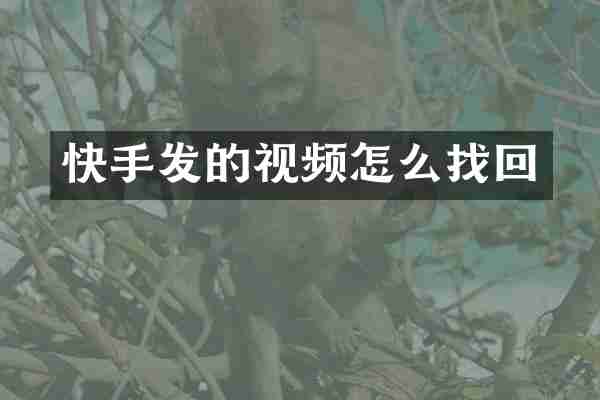 快手发的视频怎么找回