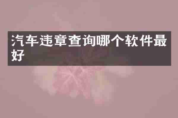 汽车违章查询哪个软件最好