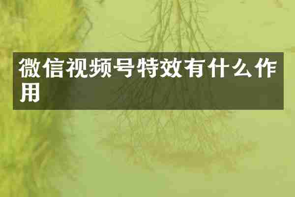 微信视频号特效有什么作用