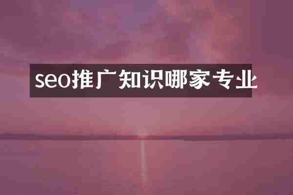 seo推广知识哪家专业