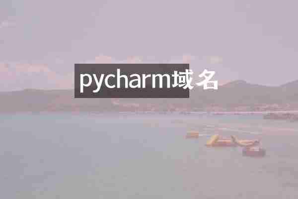 pycharm域名