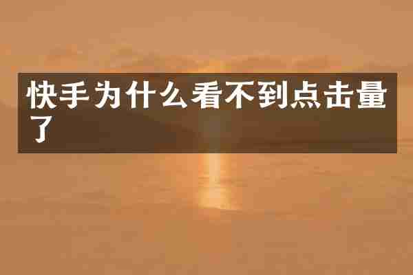 快手为什么看不到点击量了