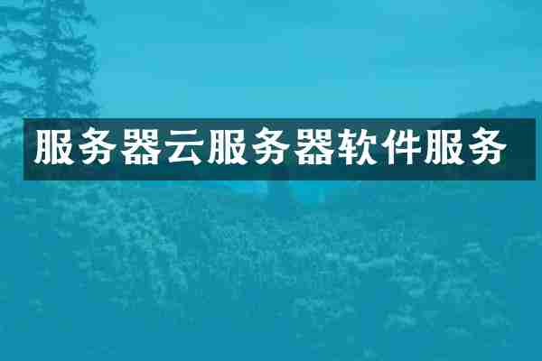 服务器云服务器软件服务