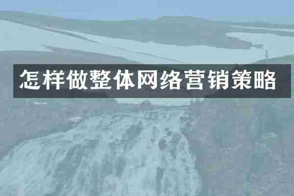 怎样做整体网络营销策略