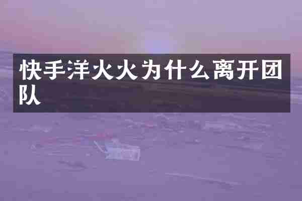 快手洋火火为什么离开团队