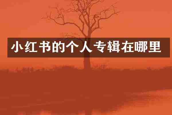 小红书的个人专辑在哪里