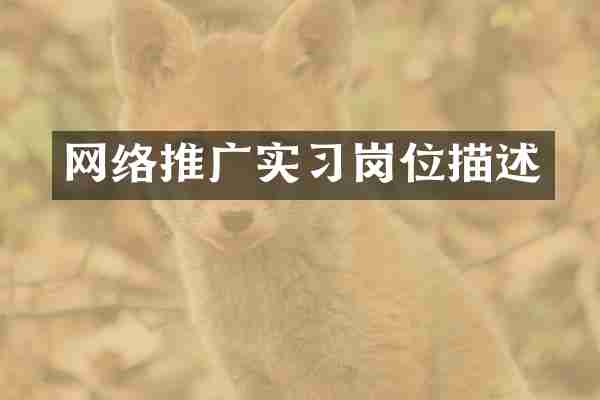 网络推广实习岗位描述