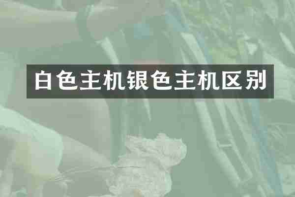 白色主机银色主机区别