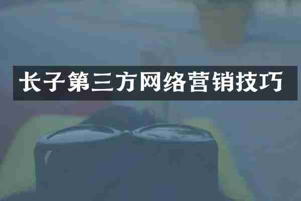 长子第三方网络营销技巧