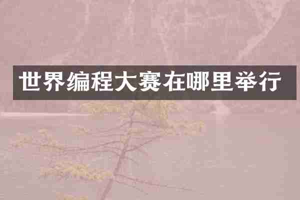世界编程大赛在哪里举行