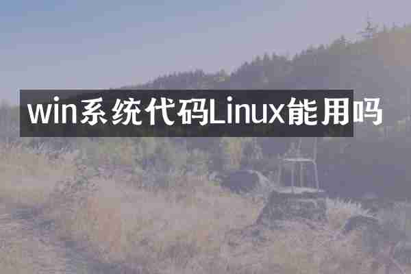 win系统代码Linux能用吗