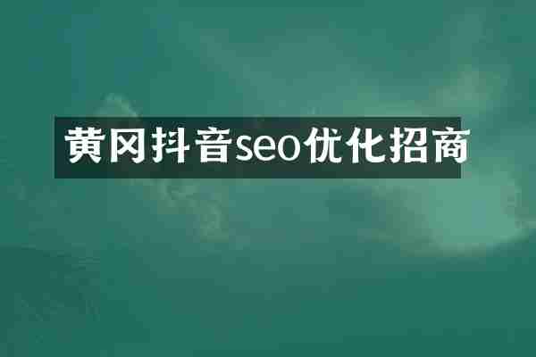 黄冈抖音seo优化招商