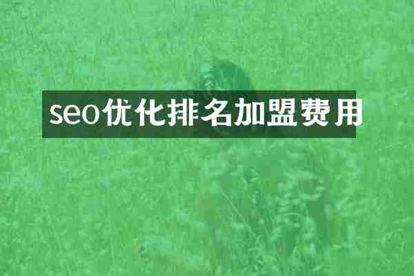 seo优化排名加盟费用