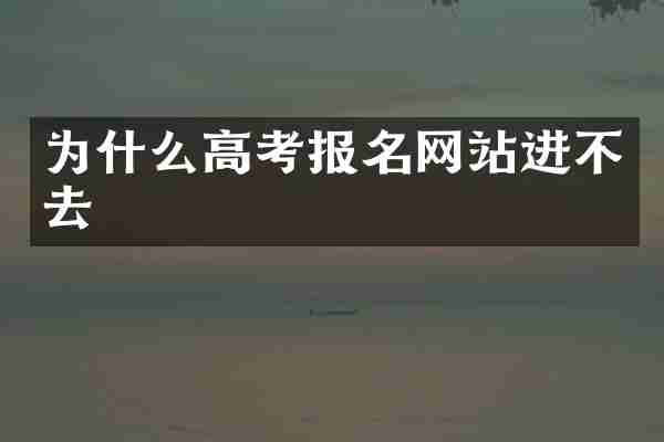 为什么高考报名网站进不去