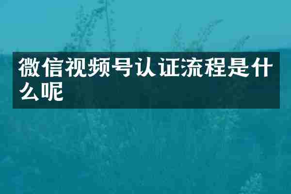 微信视频号认证流程是什么呢