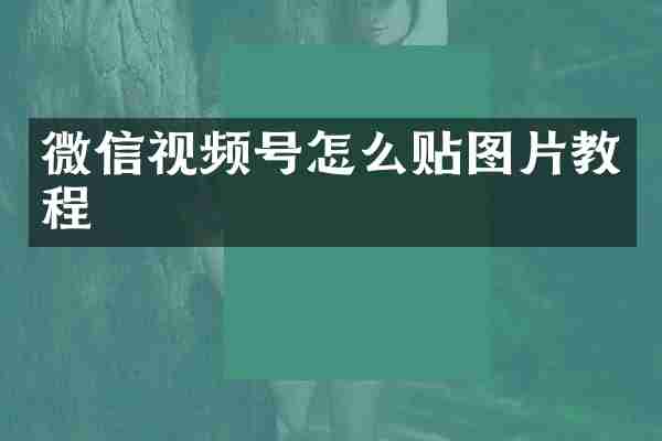 微信视频号怎么贴图片教程