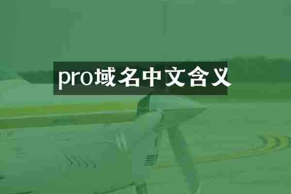 pro域名中文含义