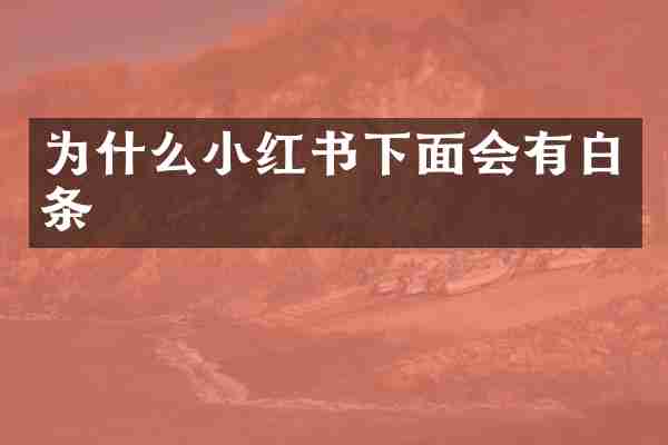 为什么小红书下面会有白条