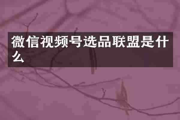 微信视频号选品联盟是什么