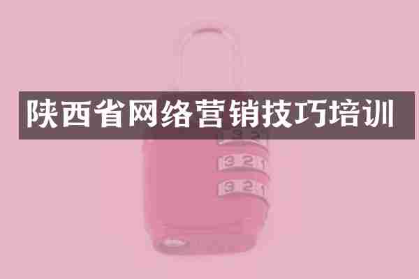 陕西省网络营销技巧培训