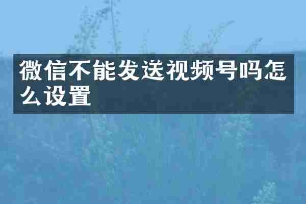 微信不能发送视频号吗怎么设置