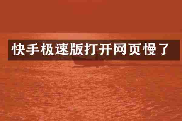 快手极速版打开网页慢了