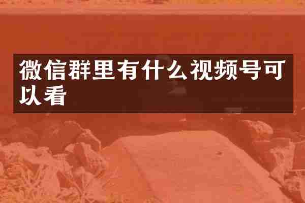 微信群里有什么视频号可以看