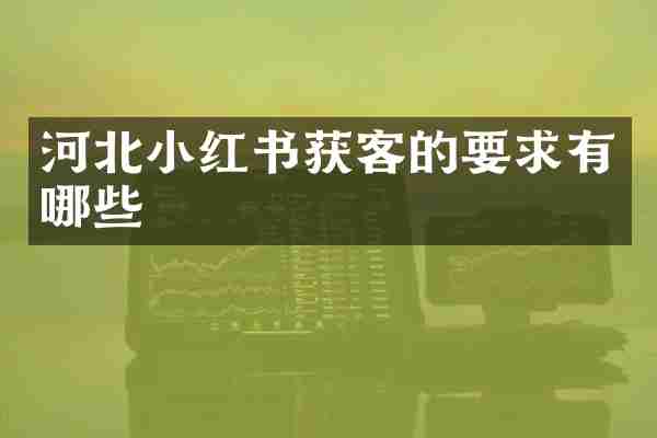 河北小红书获客的要求有哪些